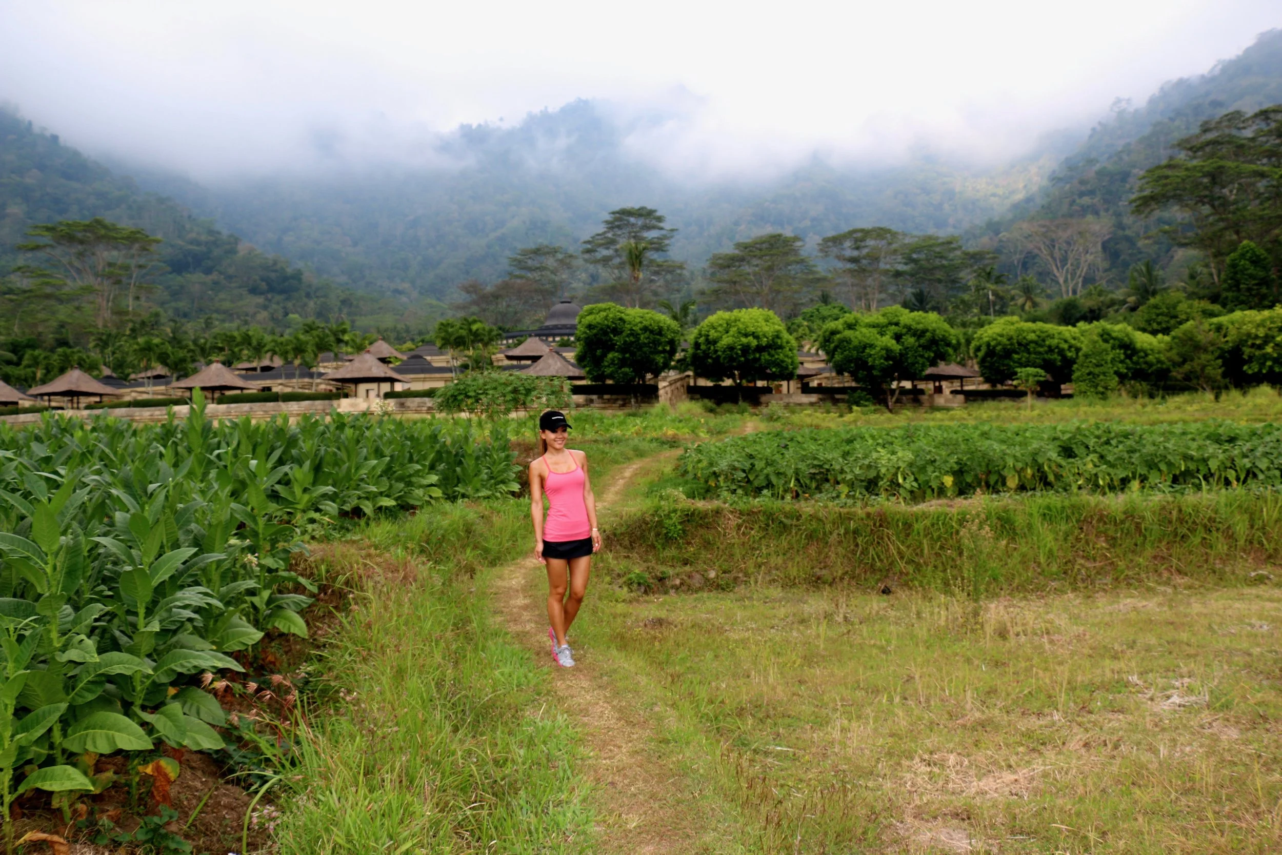 Behind me are the suites with the thatched roofs. They have clear pathways here that lead to gardens. This is where all their herbs and vegetables come from. 
