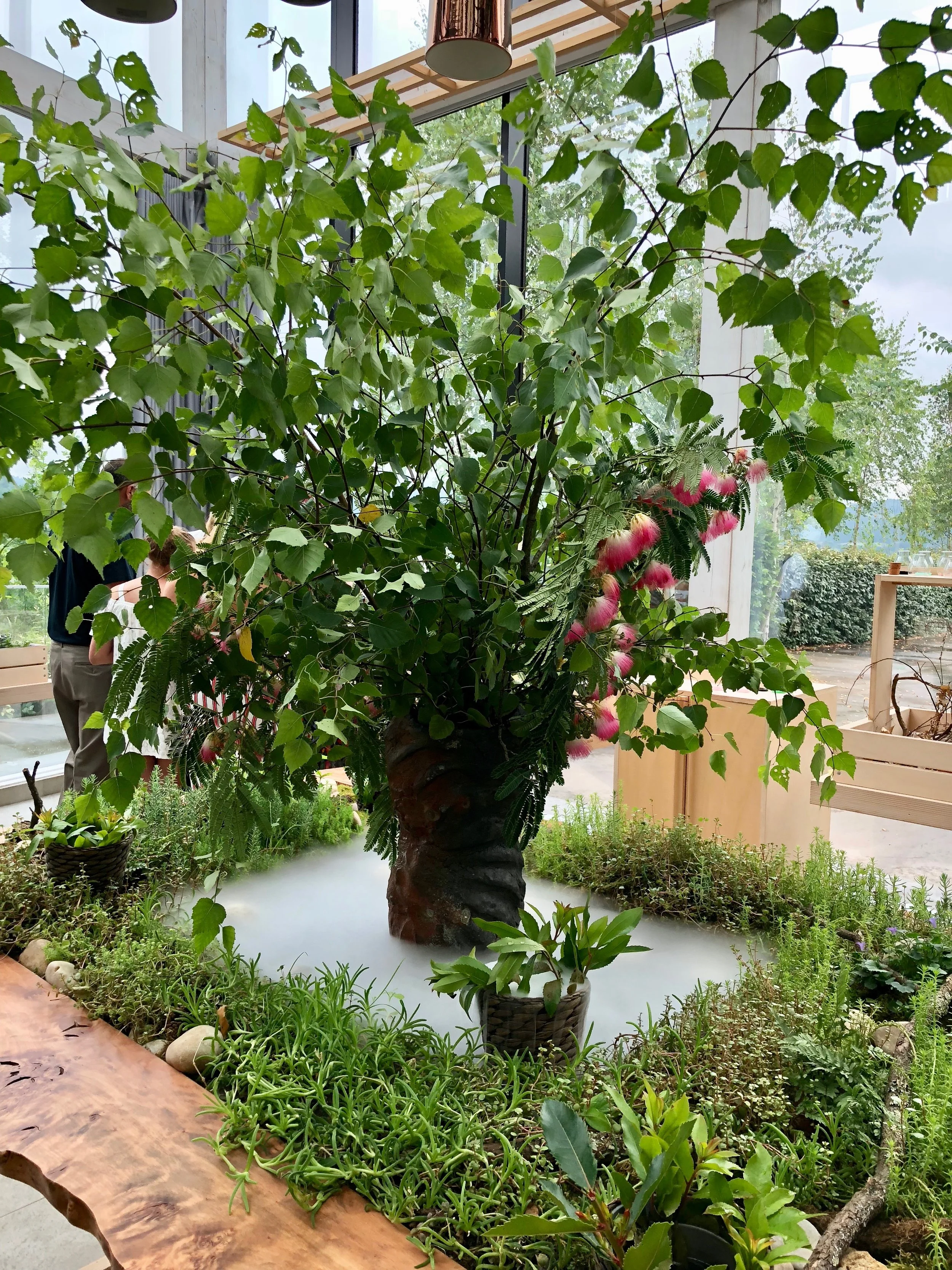 Enchanted forest setup for your next 4 amuse bouche courses