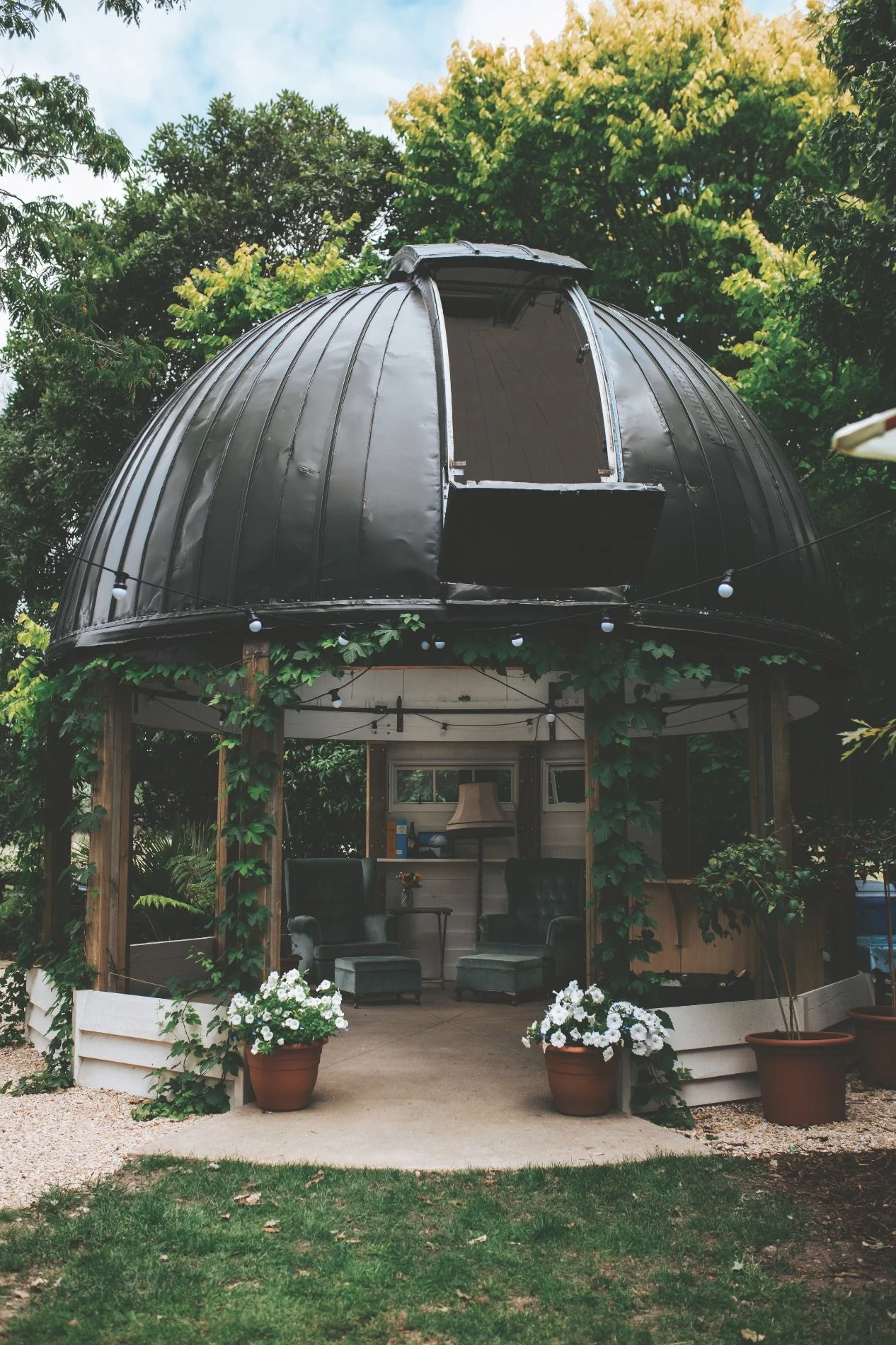 More than ornamental