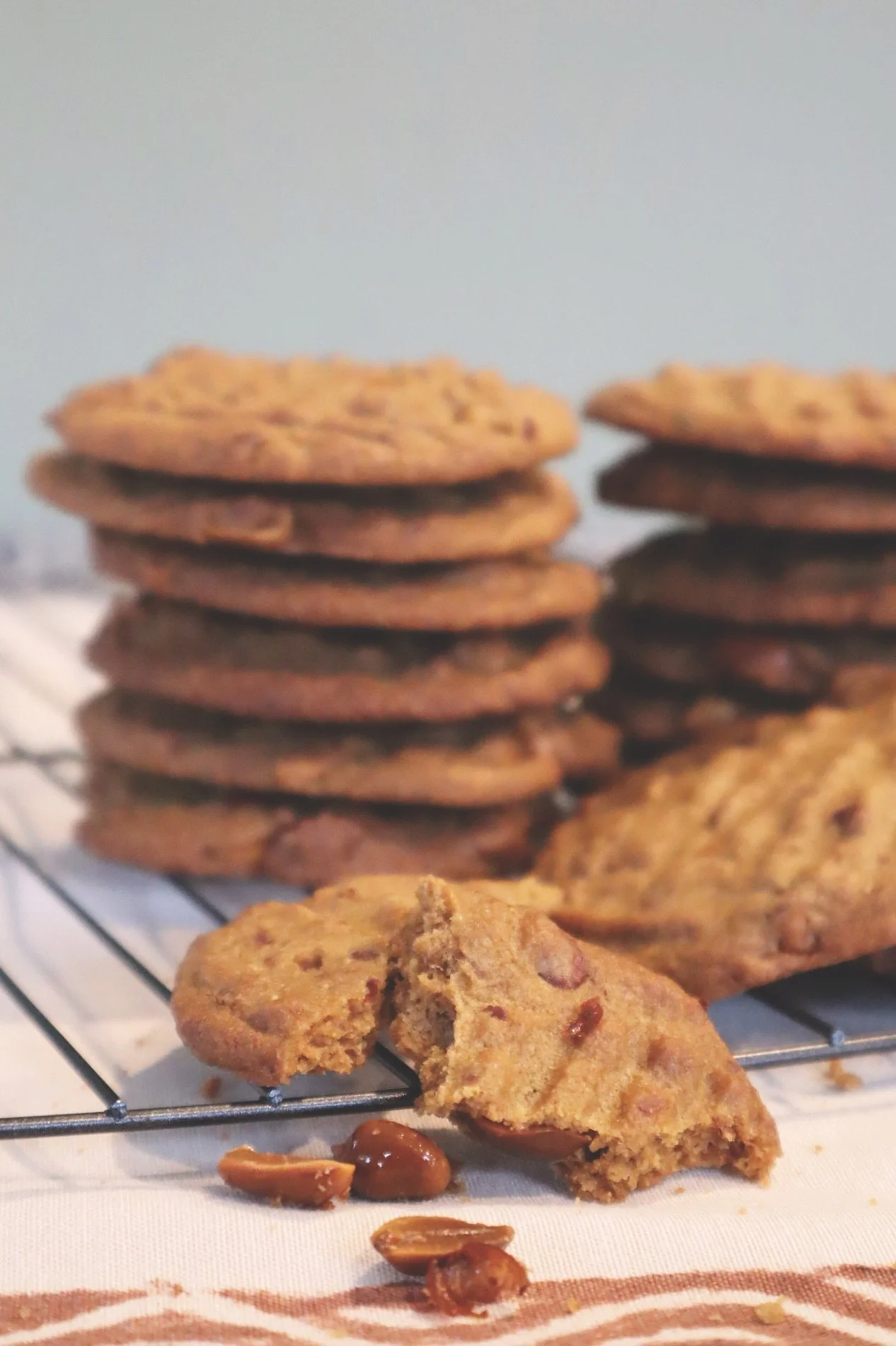 Salty Peanut Biscuits