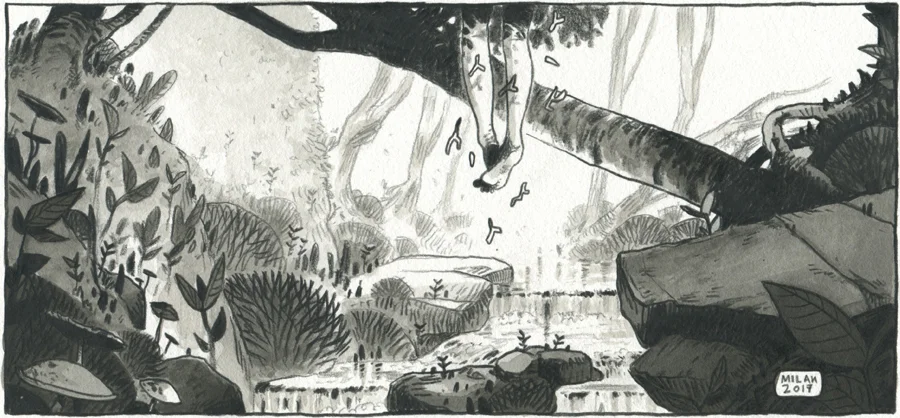 fumetto17_12.jpg