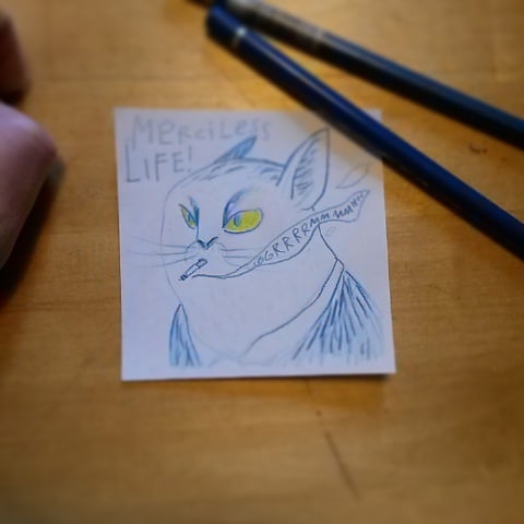 #merciless #life #party #cat #hell
