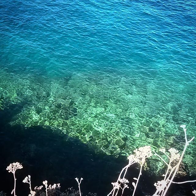 #blue