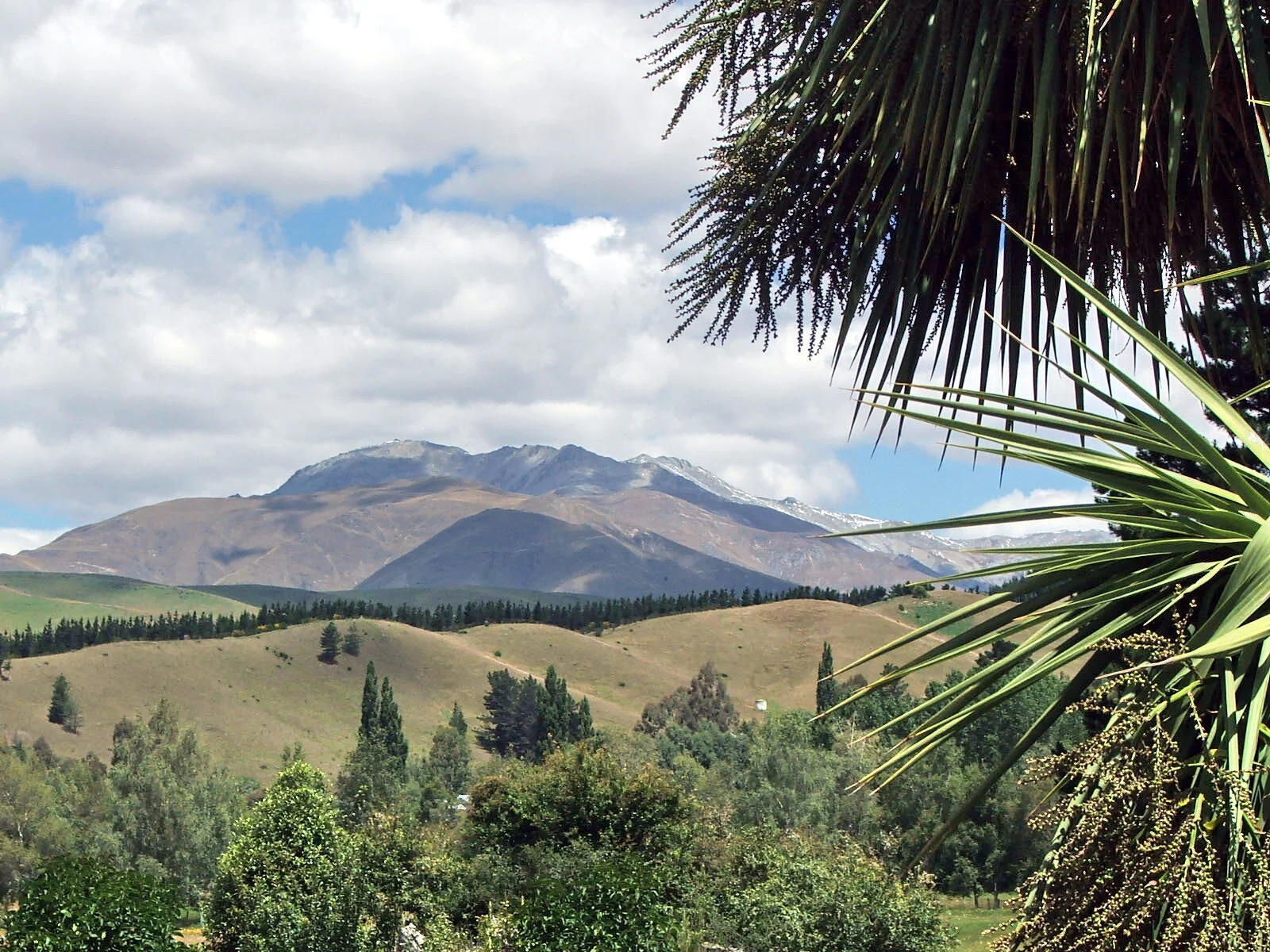 Friday 6 Jan 06 008a.jpg