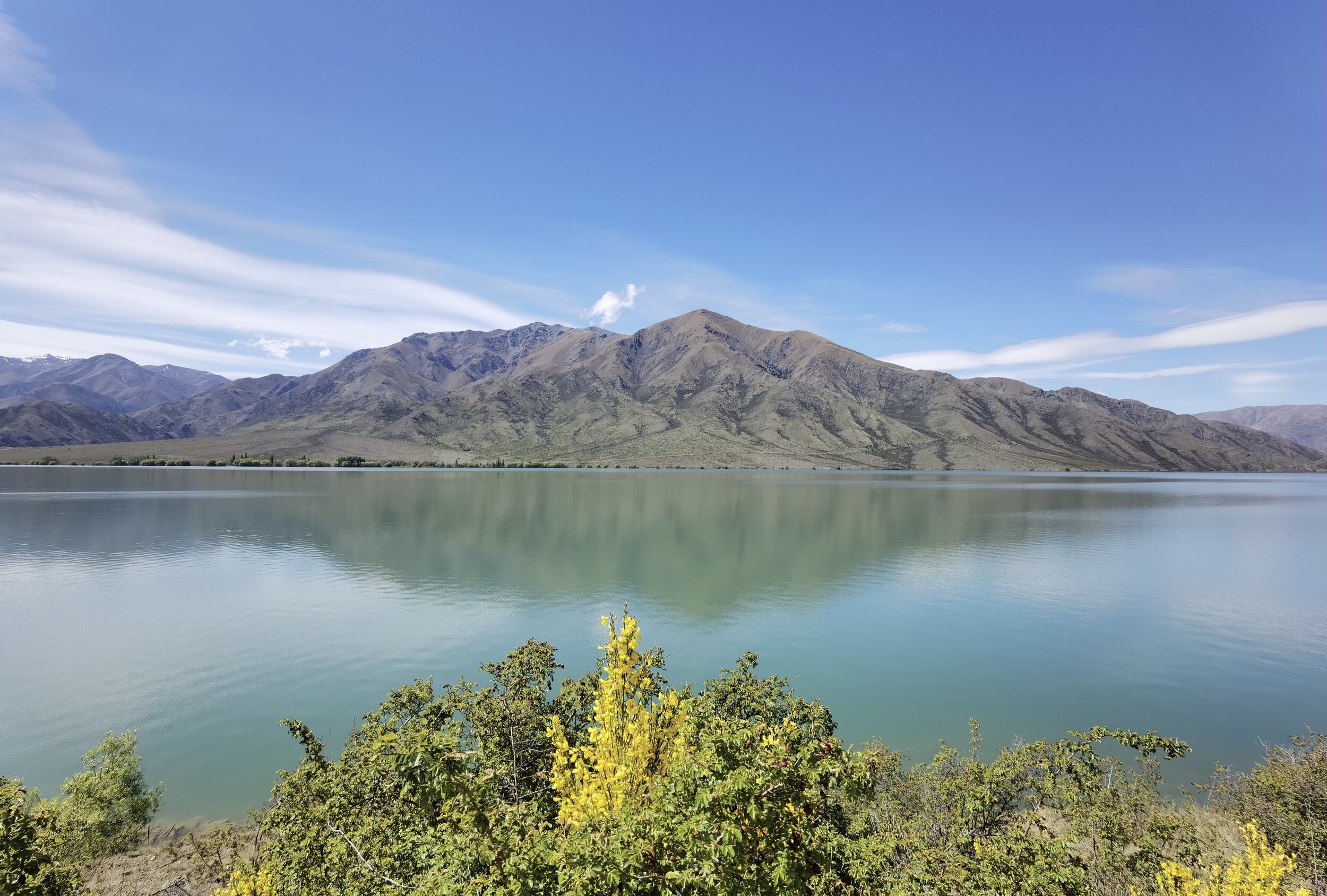 Photo credit Bruce Dow