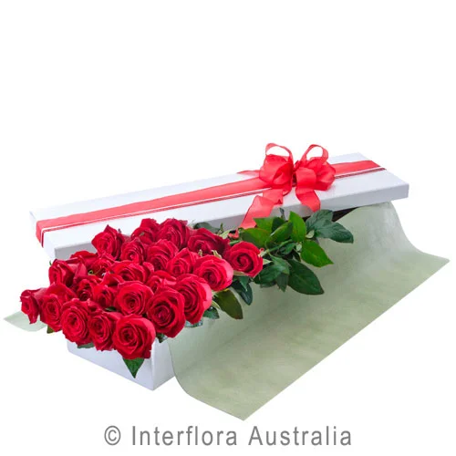 Interflora2.jpg