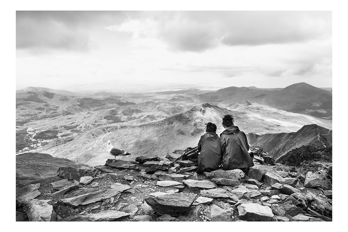 Image: Nick Treharne 
