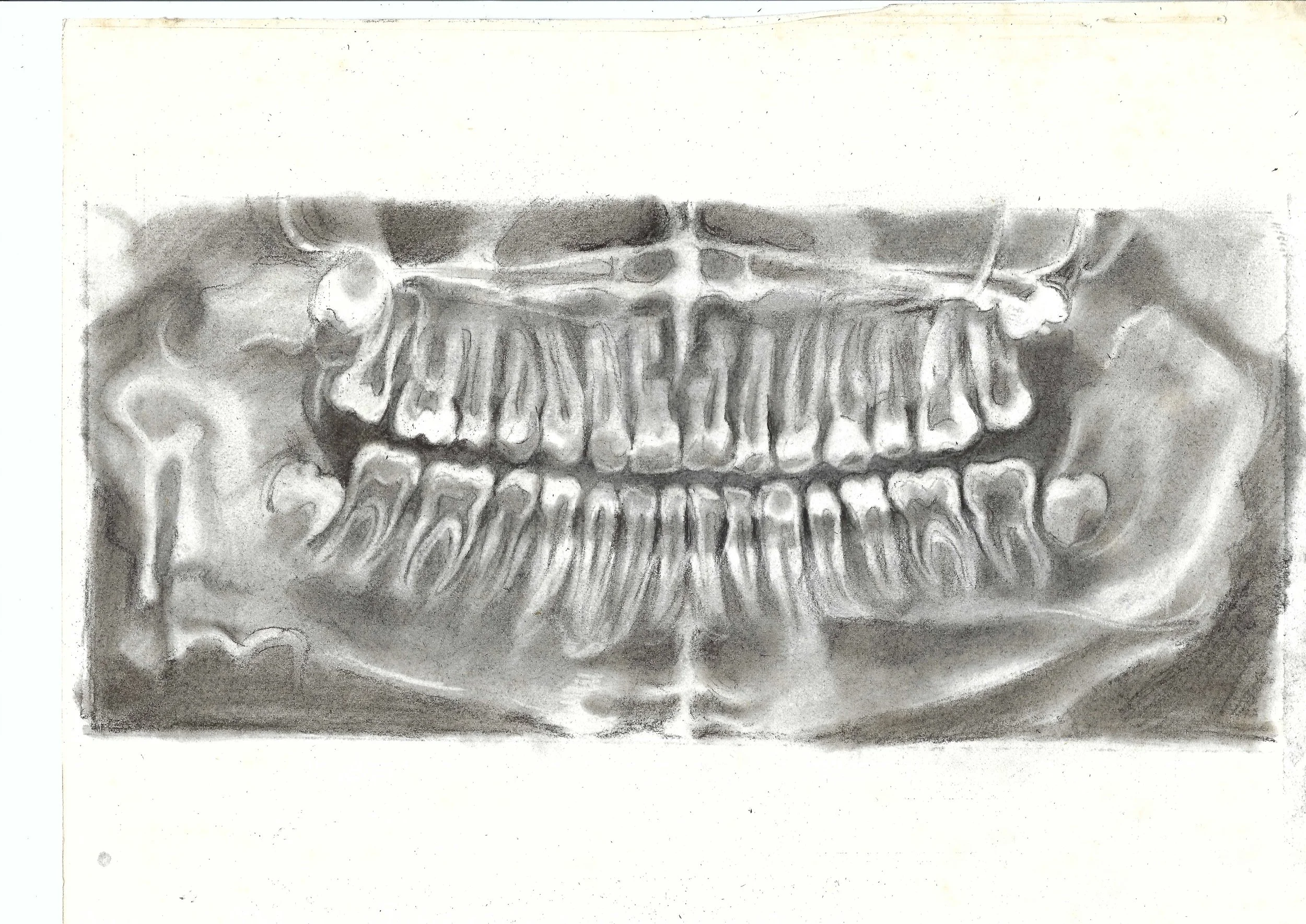 Teeth