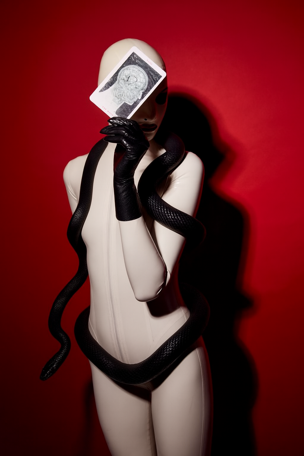 Photo- The Berlin Chameleon 