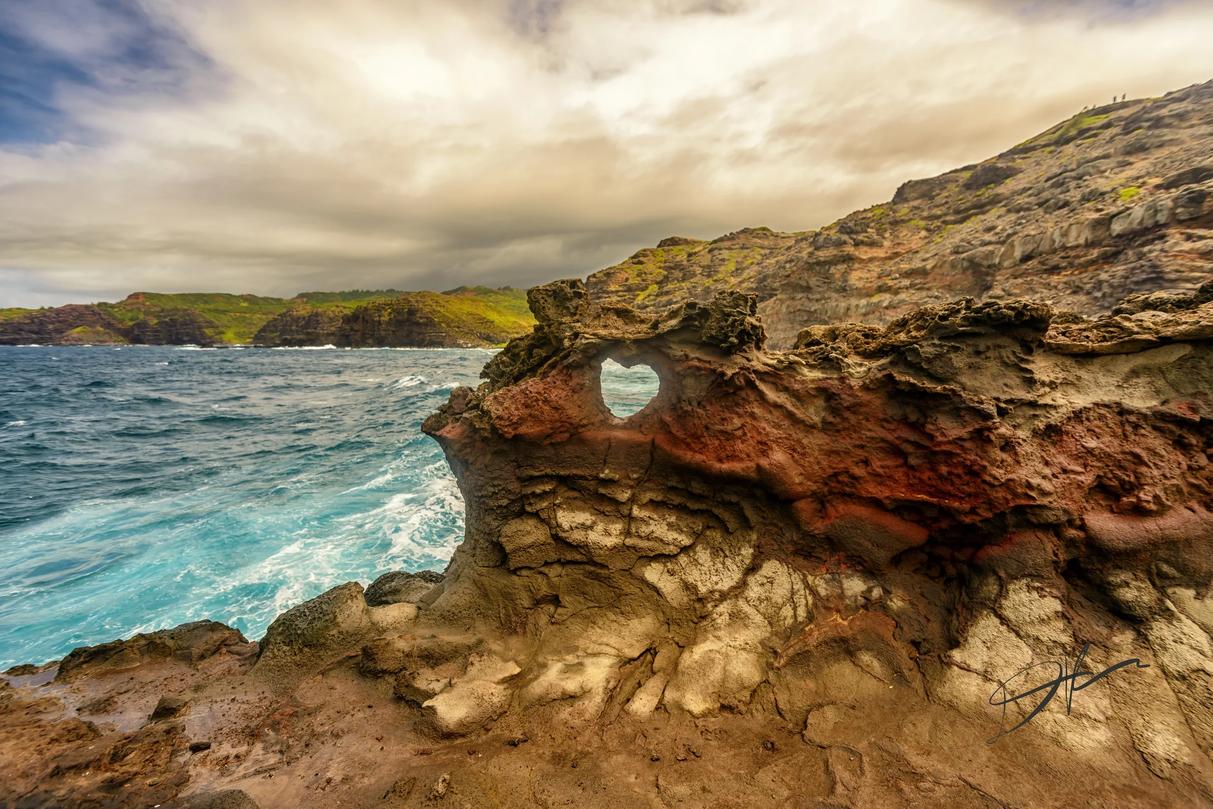 _DSC2460-Edit.jpg