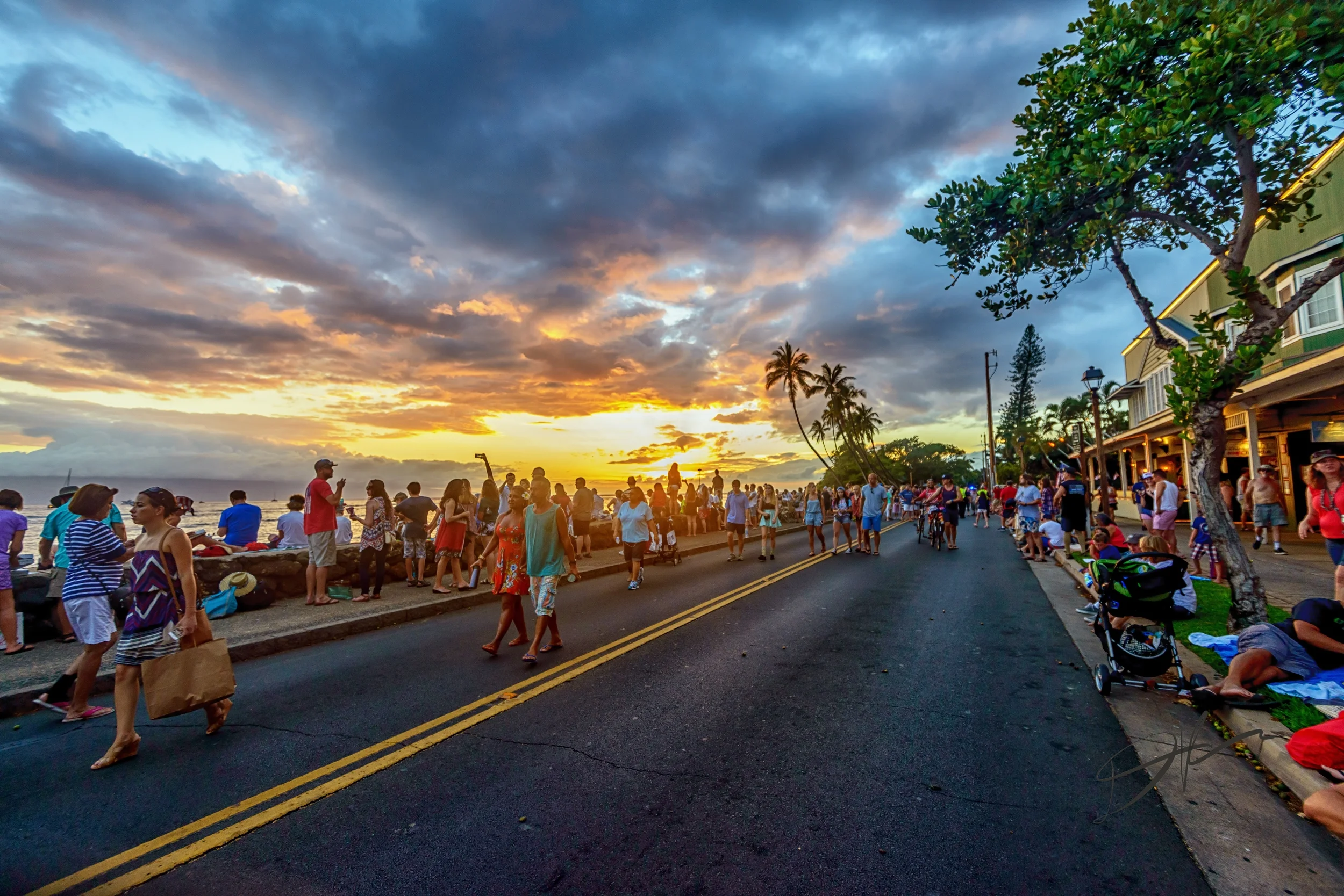 _DSC2519-Edit.jpg