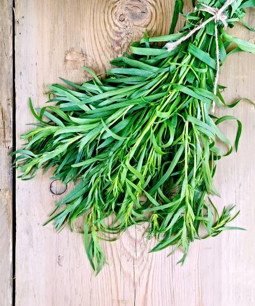 Tarragon-Essential-Oil_grande.jpg