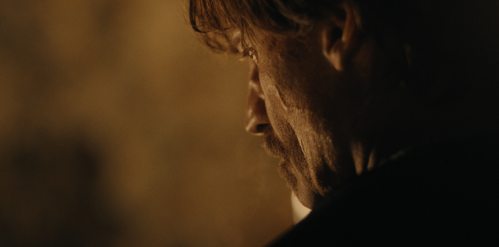 Still 2026-02-12 122222_1.12.1.png