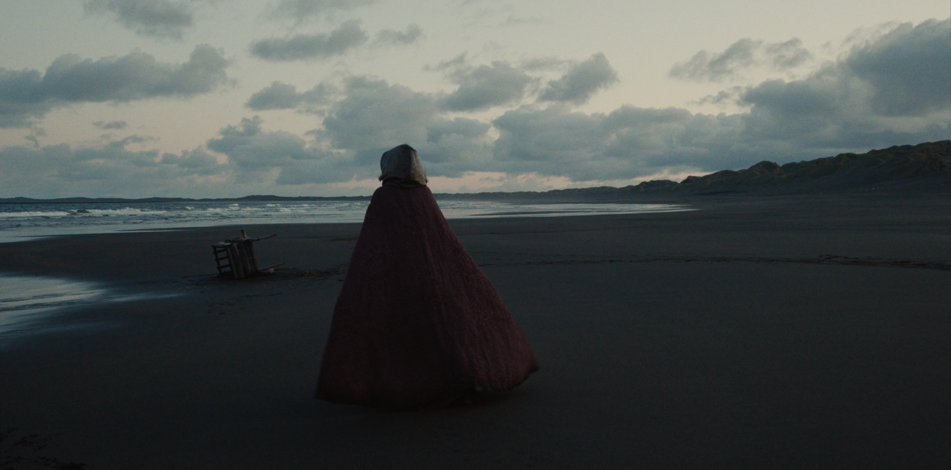 Still 2026-02-12 122222_1.64.1.png