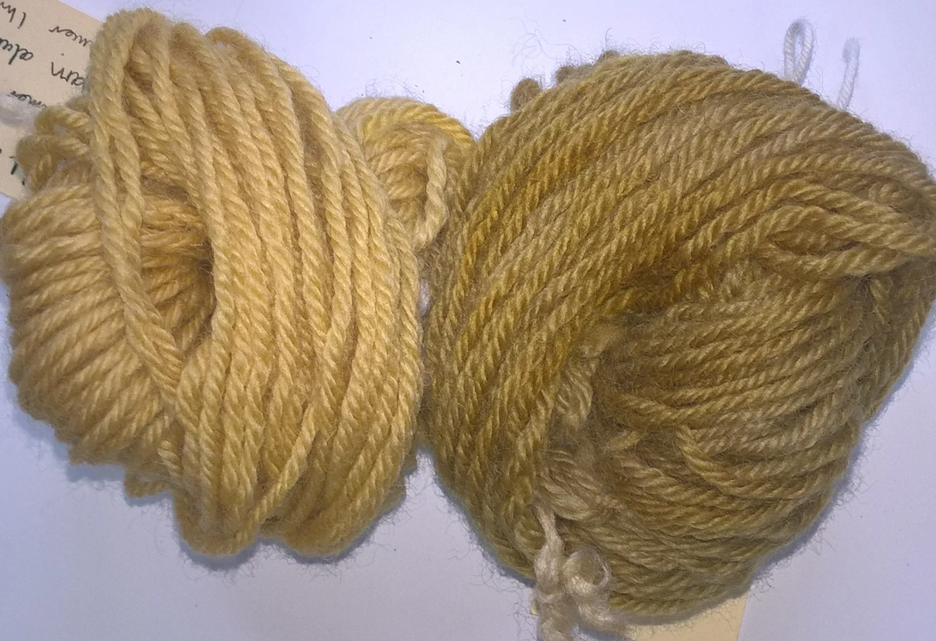 Yarn dyed with weld, without and with mordent