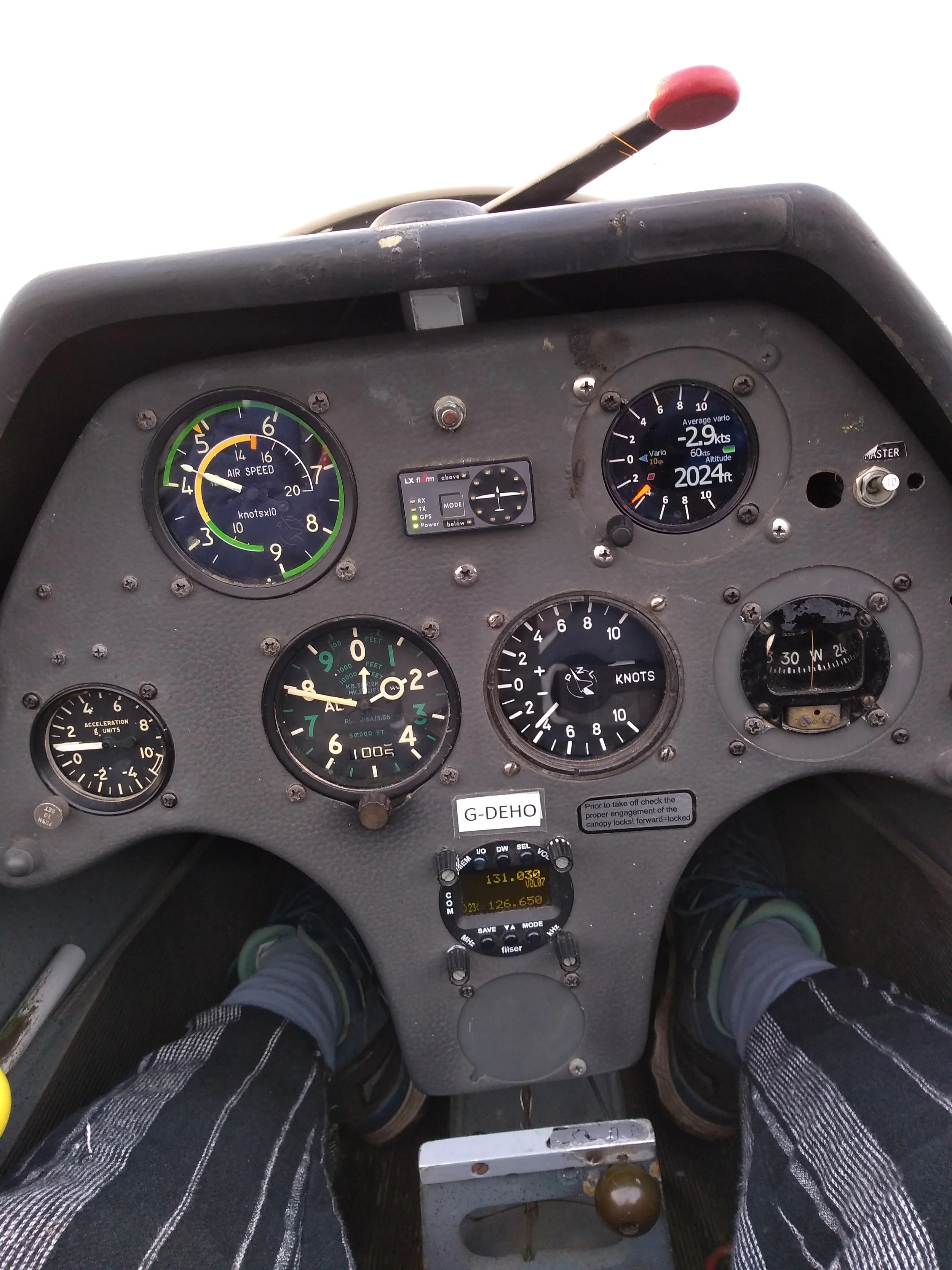 gliding 4.jpg