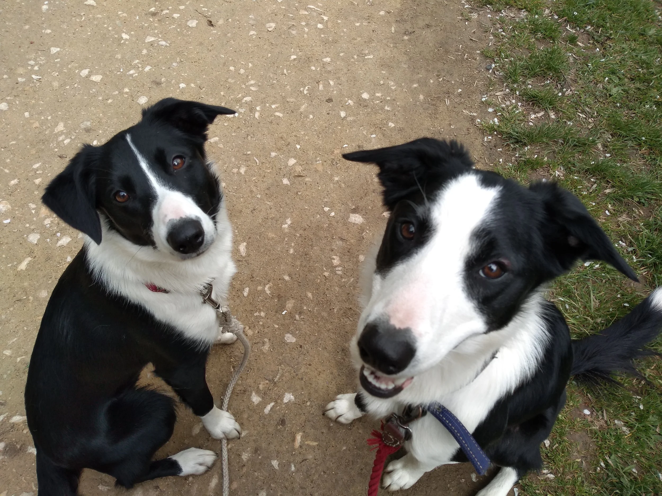 Sophie and Hywel