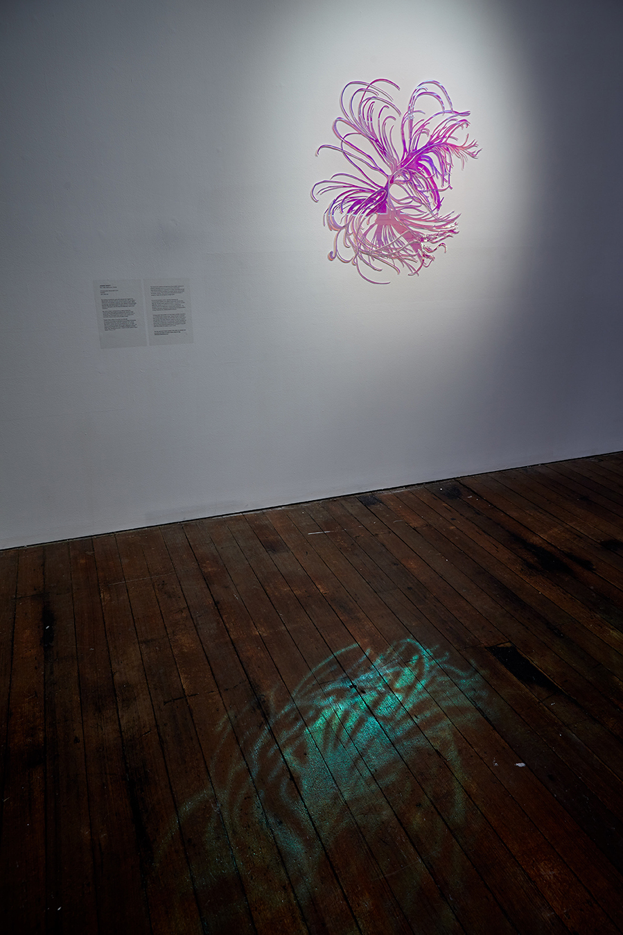 Untitled Session0067.jpg