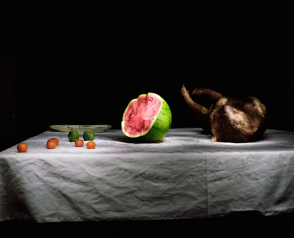 Drew-Wombat-with-plate-and-watemelon-Web.jpg