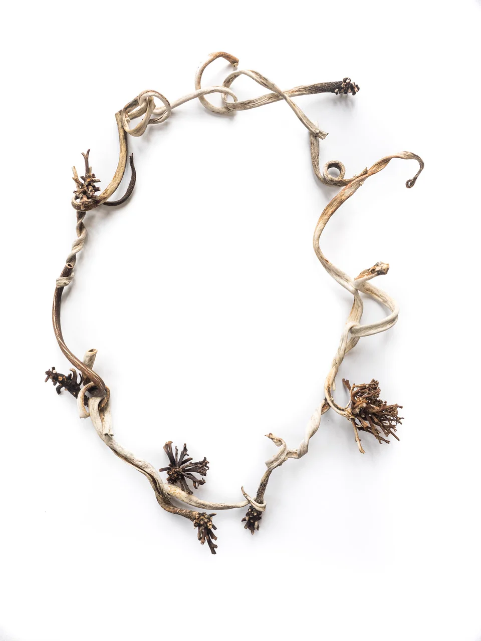 Nicky Hepburn, Seaweed Lei 2017. Dried seaweed, hemp thread. Photo: Terry McConvill