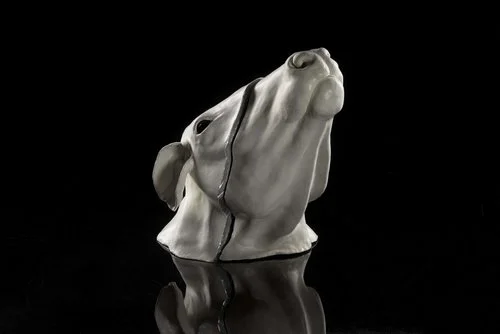 White Cow Head by Natalie Ryan