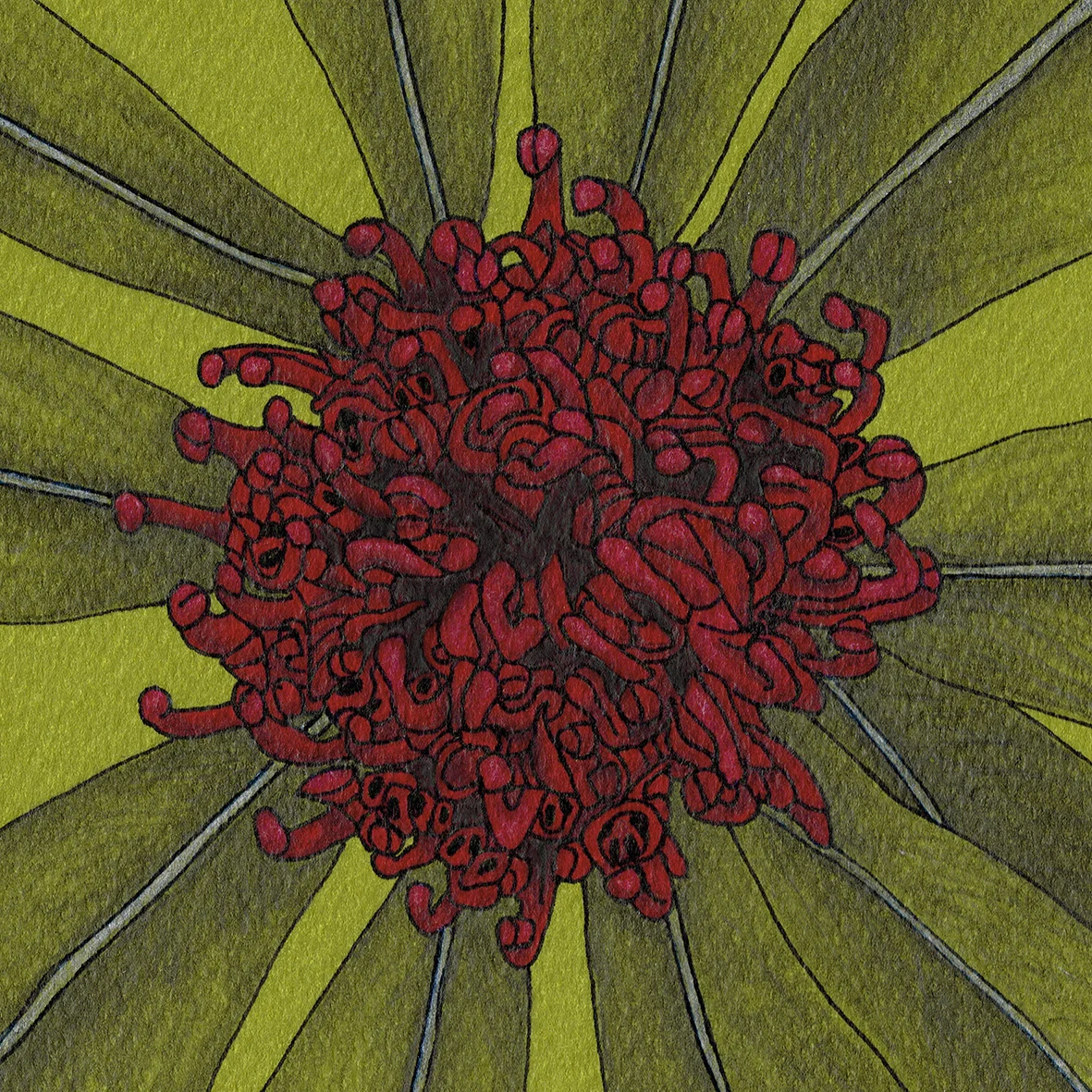 red_flower_2_edit.jpg