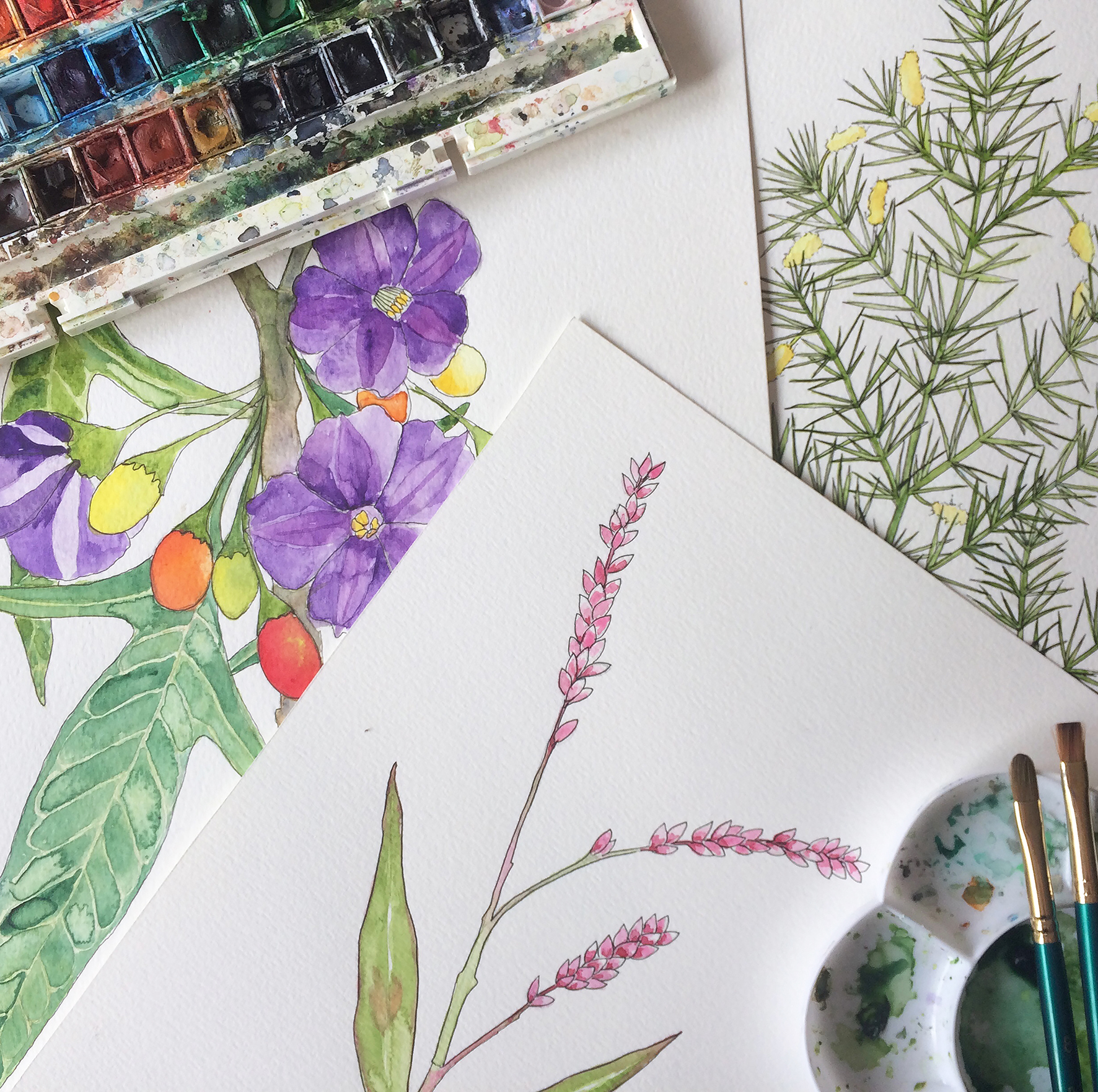 watercolour_workshop_2.jpg
