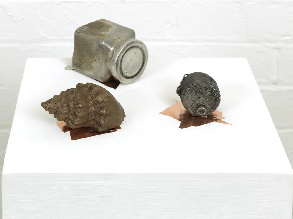 Image: Susannah Williams