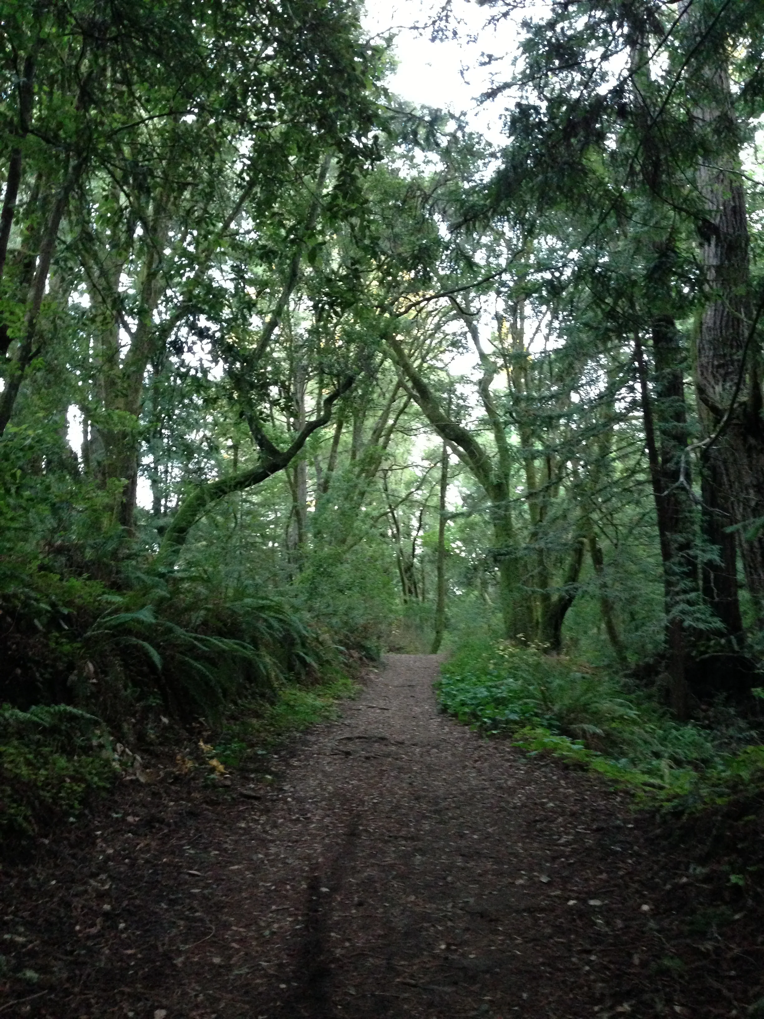 Finding the Sweet Spot