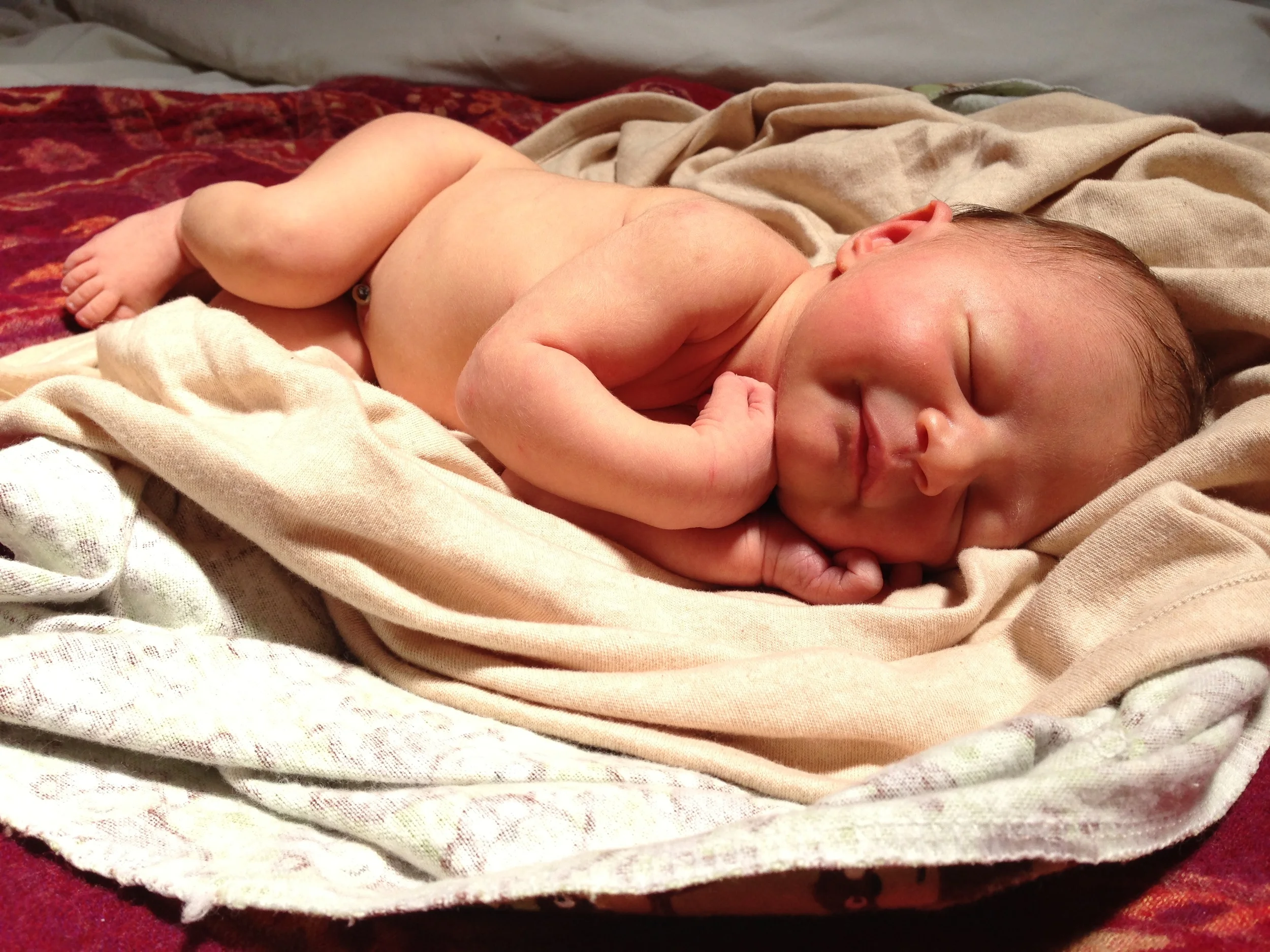 Home birth in Mendocino, California