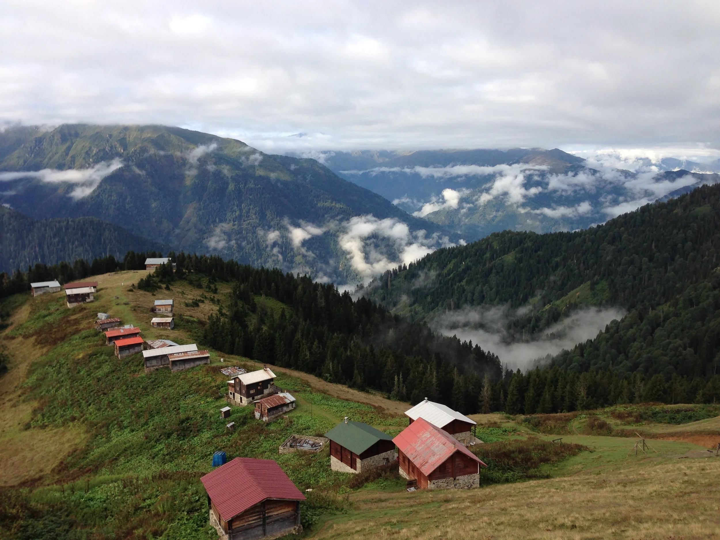 The Scent of Green: Pokut, Turkey 