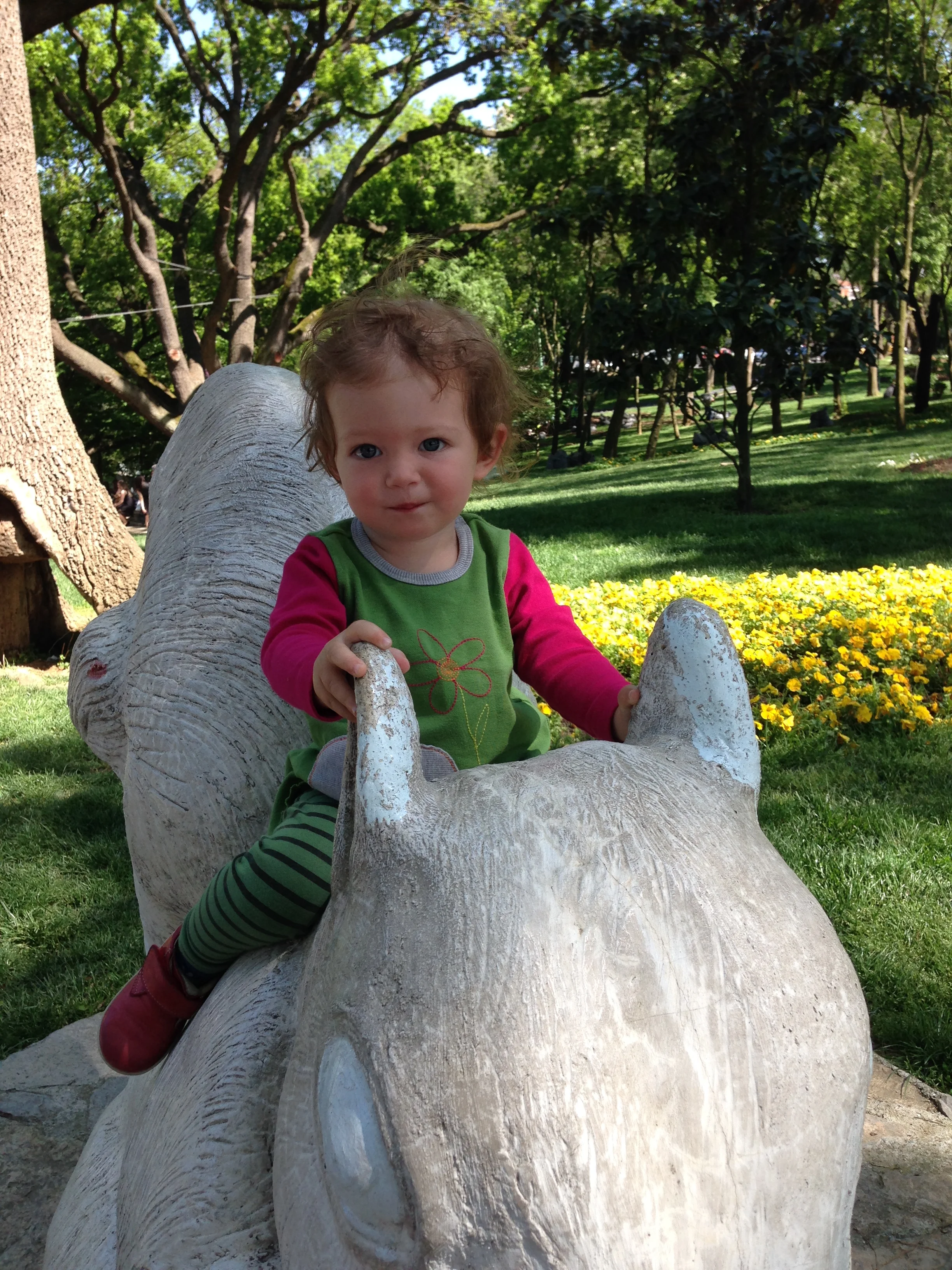 Finding Green in Istanbul