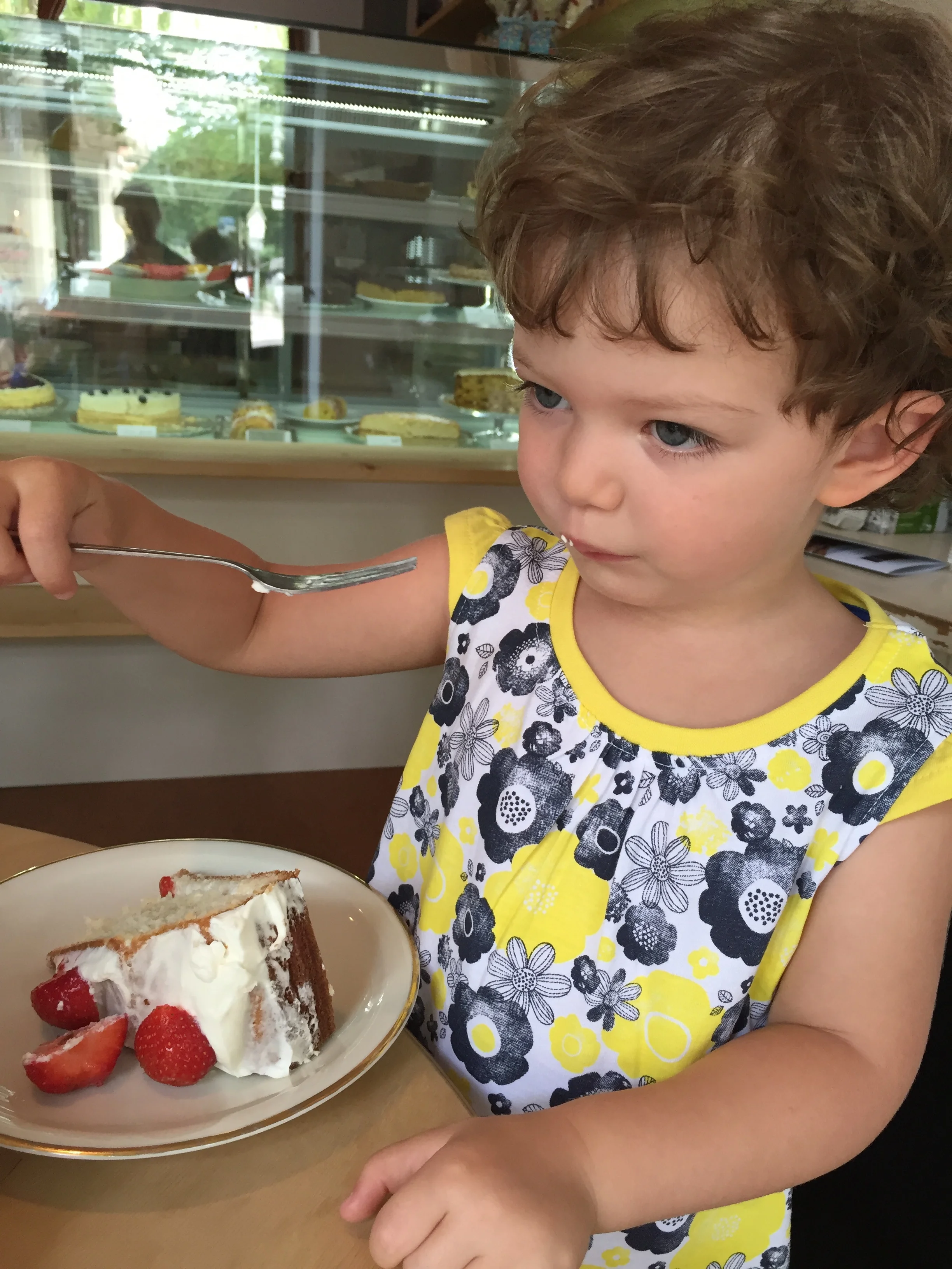 Berlin Again: Nesting in City Scape 