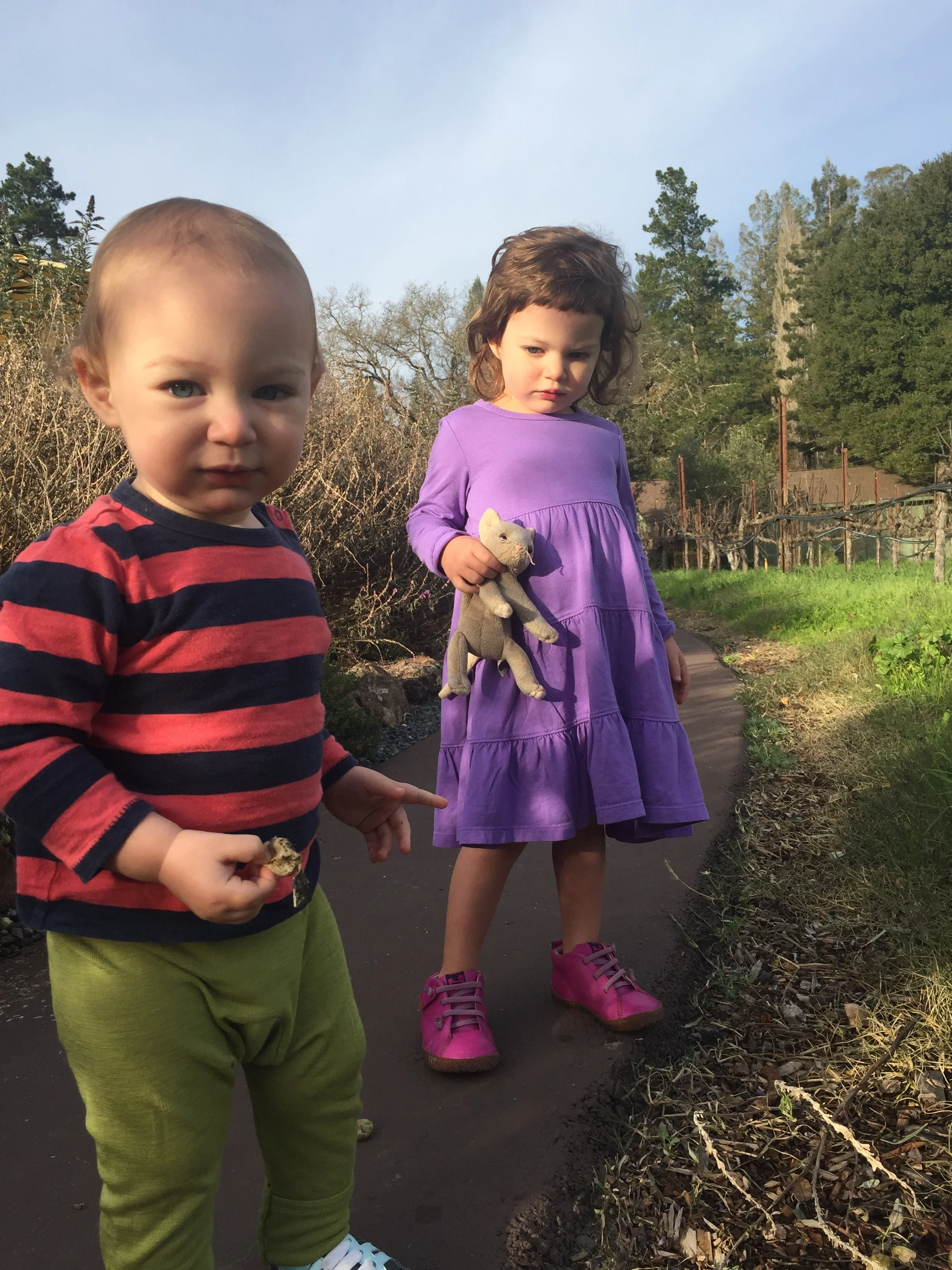 Sebastapol: SF culture rooted in vines