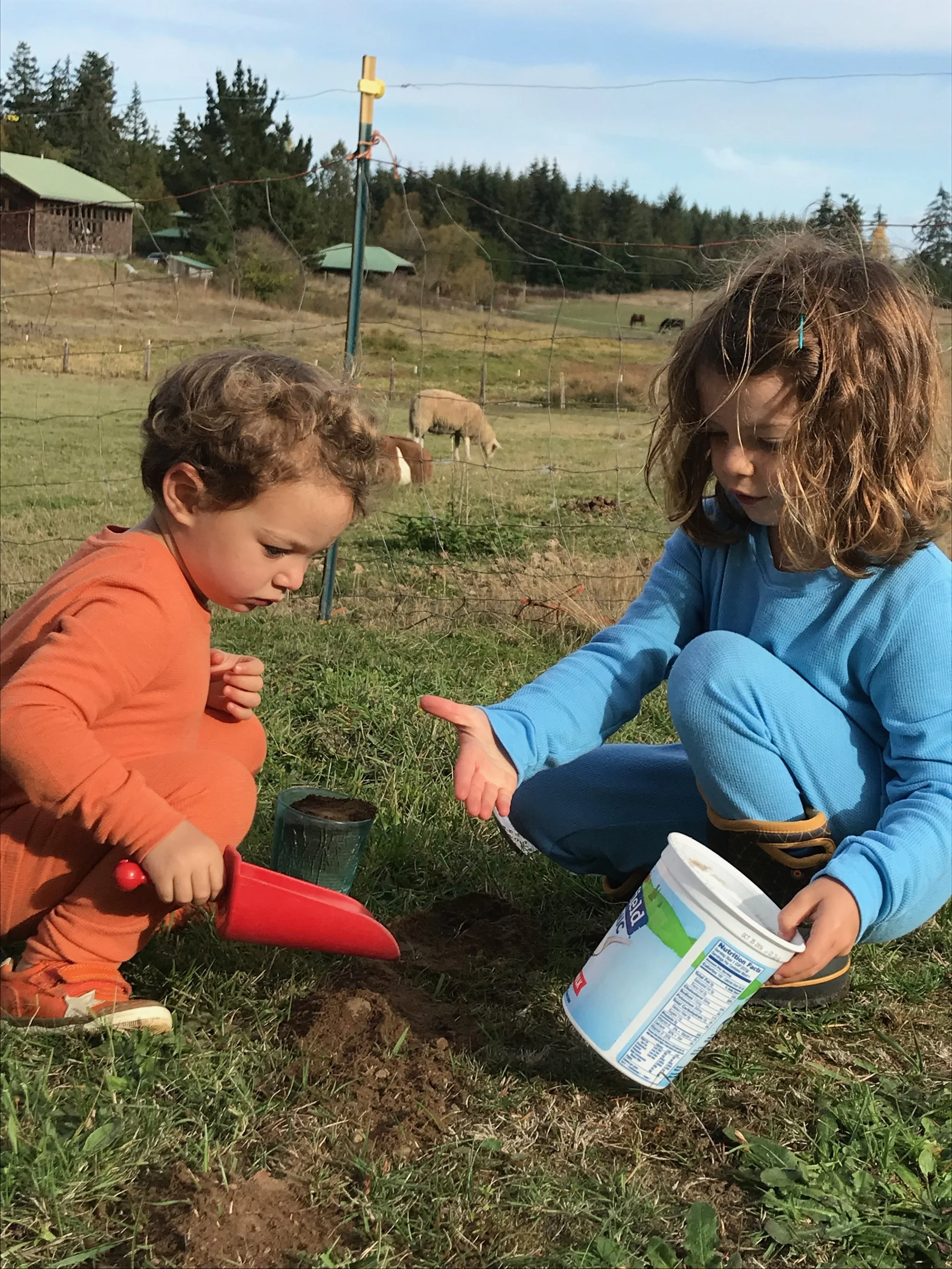 Finding a home base part 1: Arcata, Portland, Sequim and Marrowstone Island