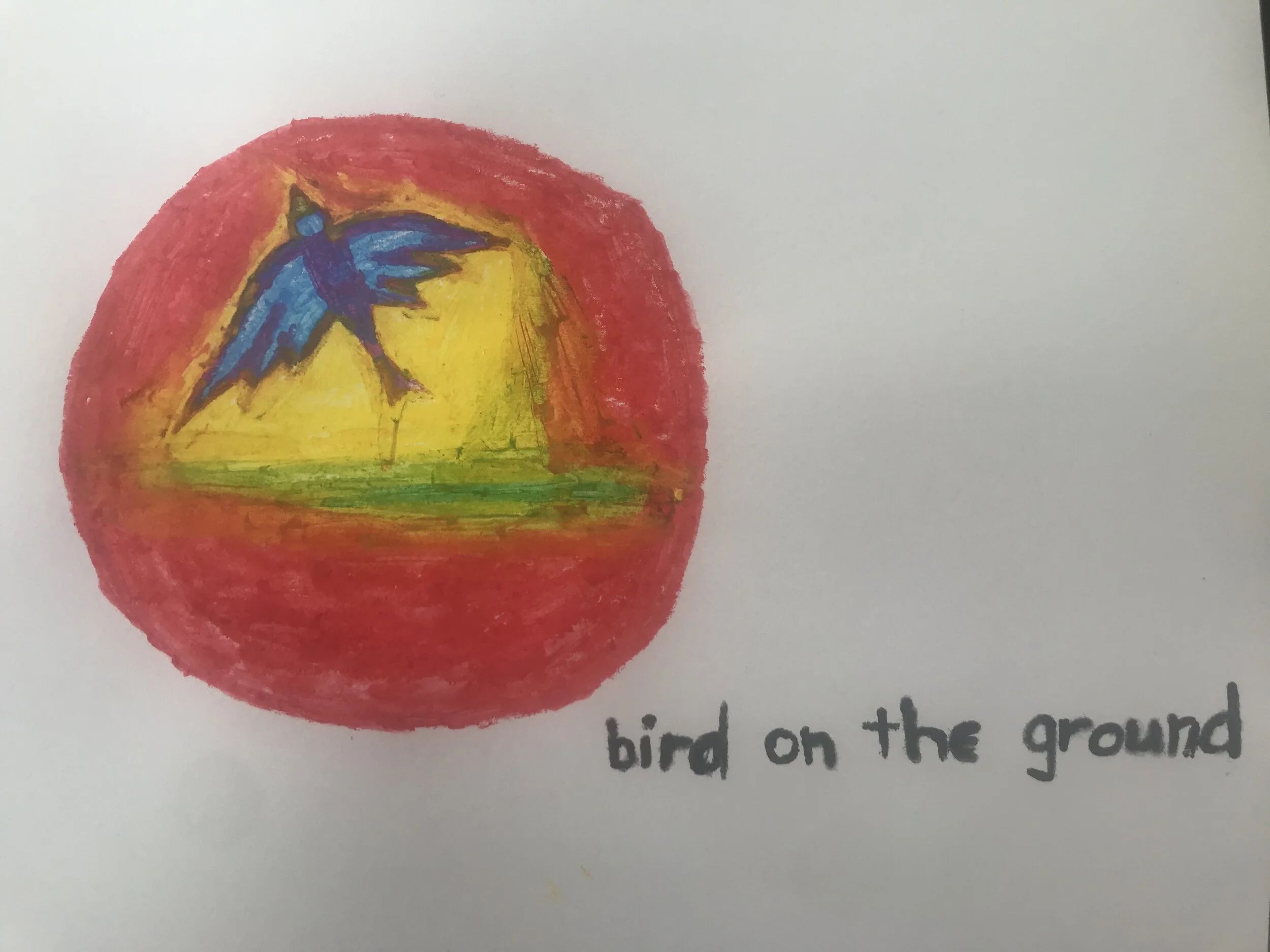 Bird on the ground