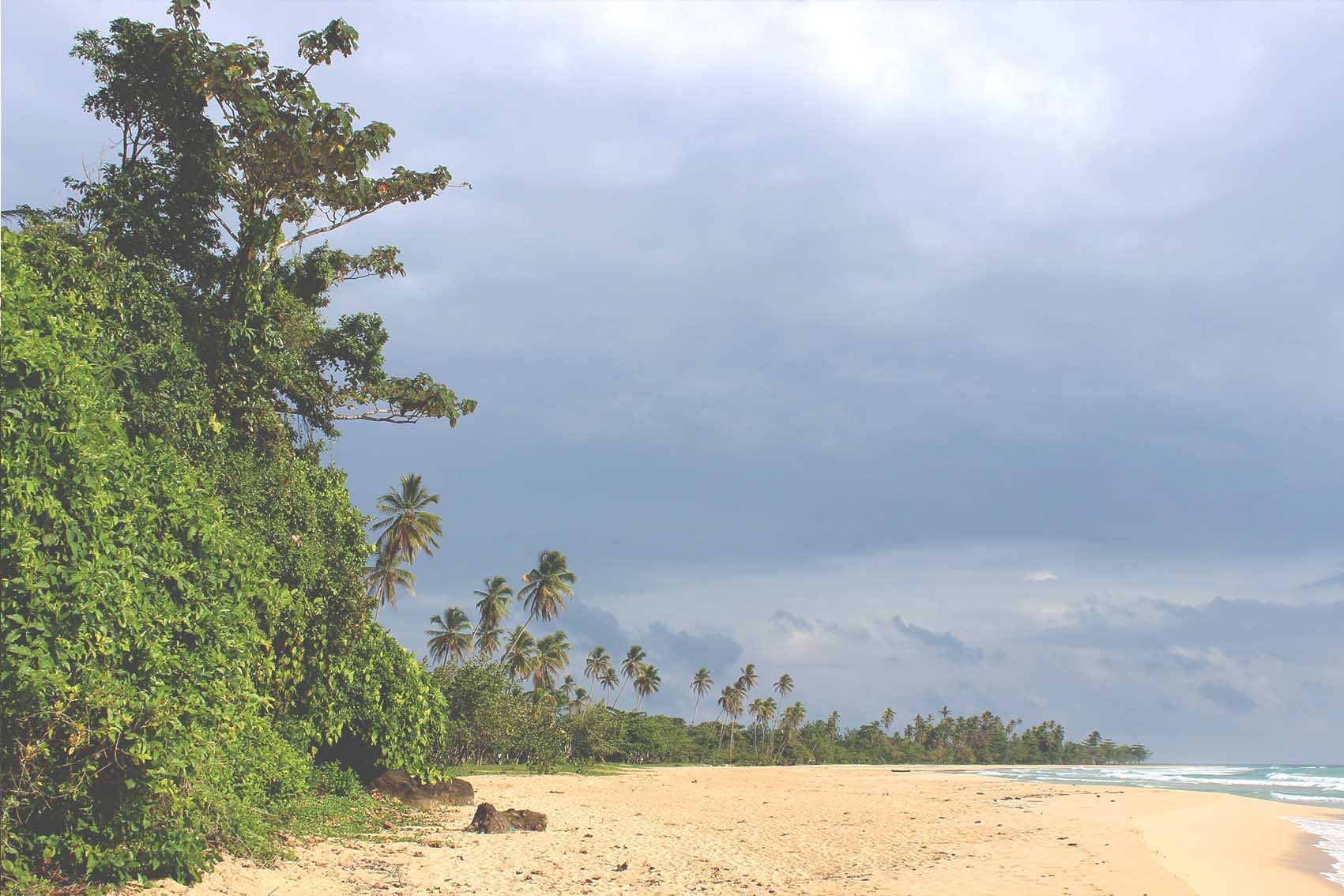 Bocas 27.jpg