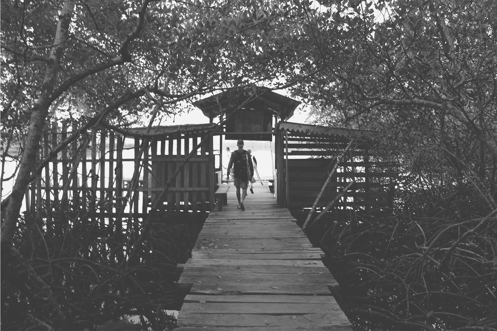 Bocas 39 BW.jpg