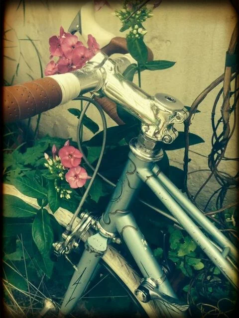 Jaques Anquetil Mixte