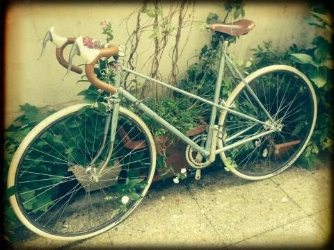 Jaques Anquetil Mixte