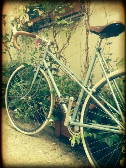 Jaques Anquetil Mixte