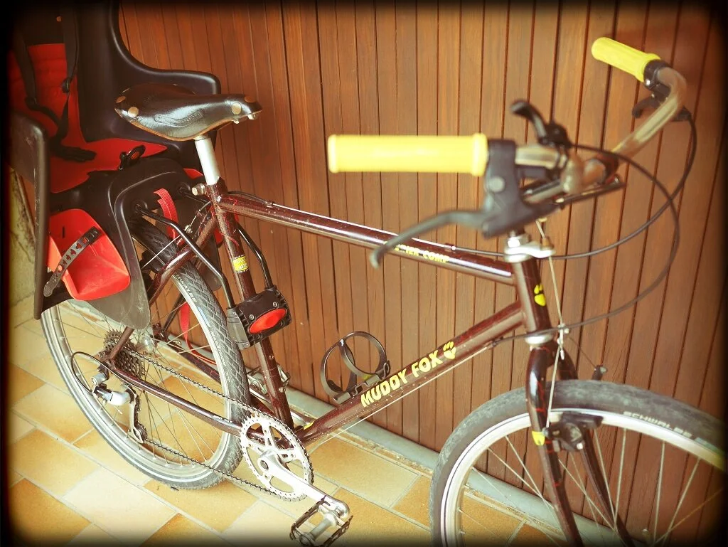 Muddy Fox Courier Comp