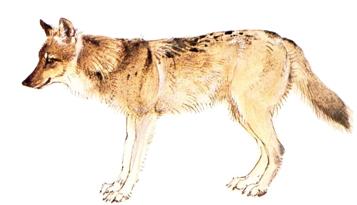 8571383_orig.jpg