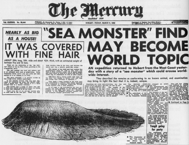 Tasmanian Carcass of 1960.