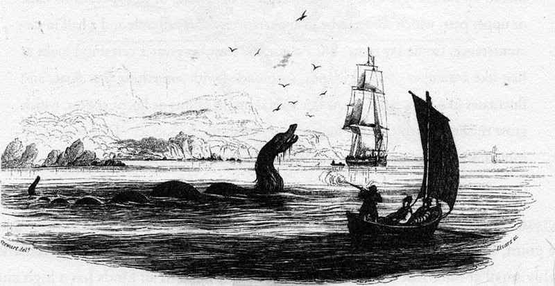 Sea serpent (Nuckalavee) from Bishop Erik Pontoppidan's 1755 work Natural History of Norway.