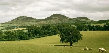 Apparently, Scot's magic split the splitting Eildon Hill into three!