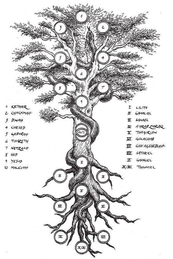 The Tree of Life of Kabbalistic creation.