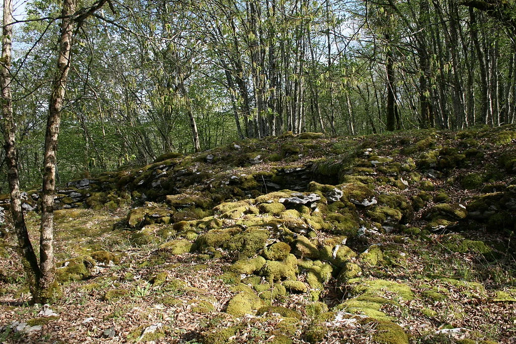 #05. Alaise (Doubs) view of the rampart and remains of cabordes lieu-dit le Châtaillon