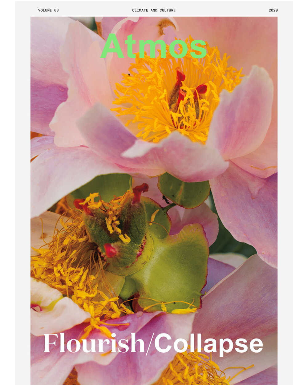 atmos-magazine-pink-flower-flourish-collapse-climate-change.jpg