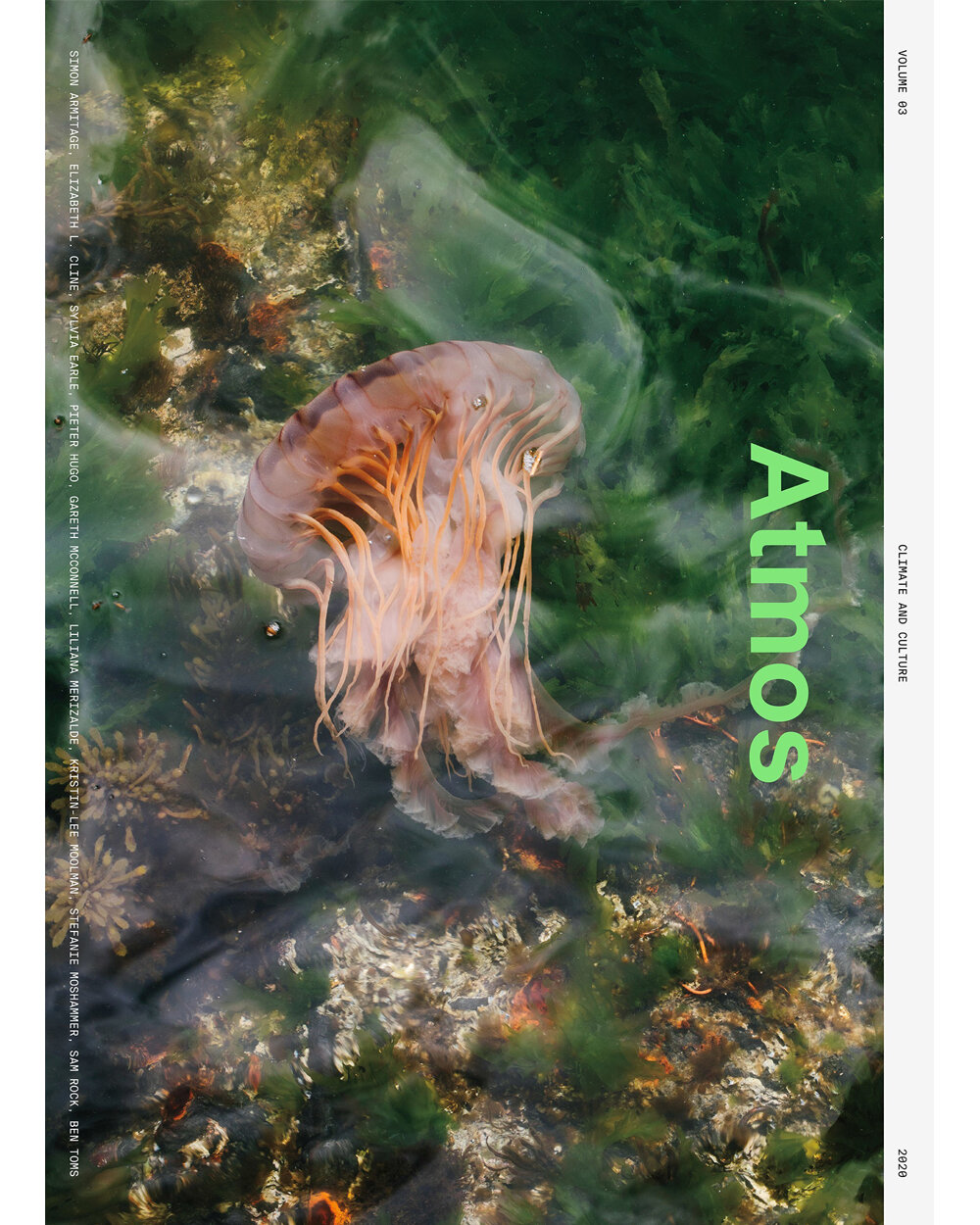 atmos-magazine-jelly-fish.jpg